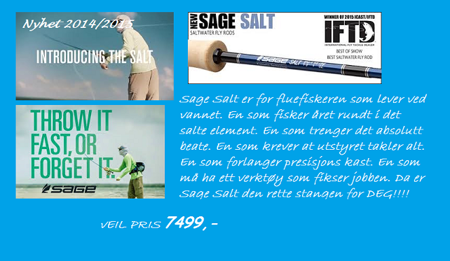 sage salt banner salg